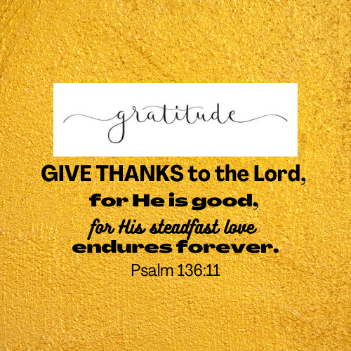 Heart Of Gratitude – Continued