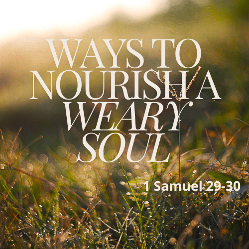 Ways To Nourish A Weary Soul